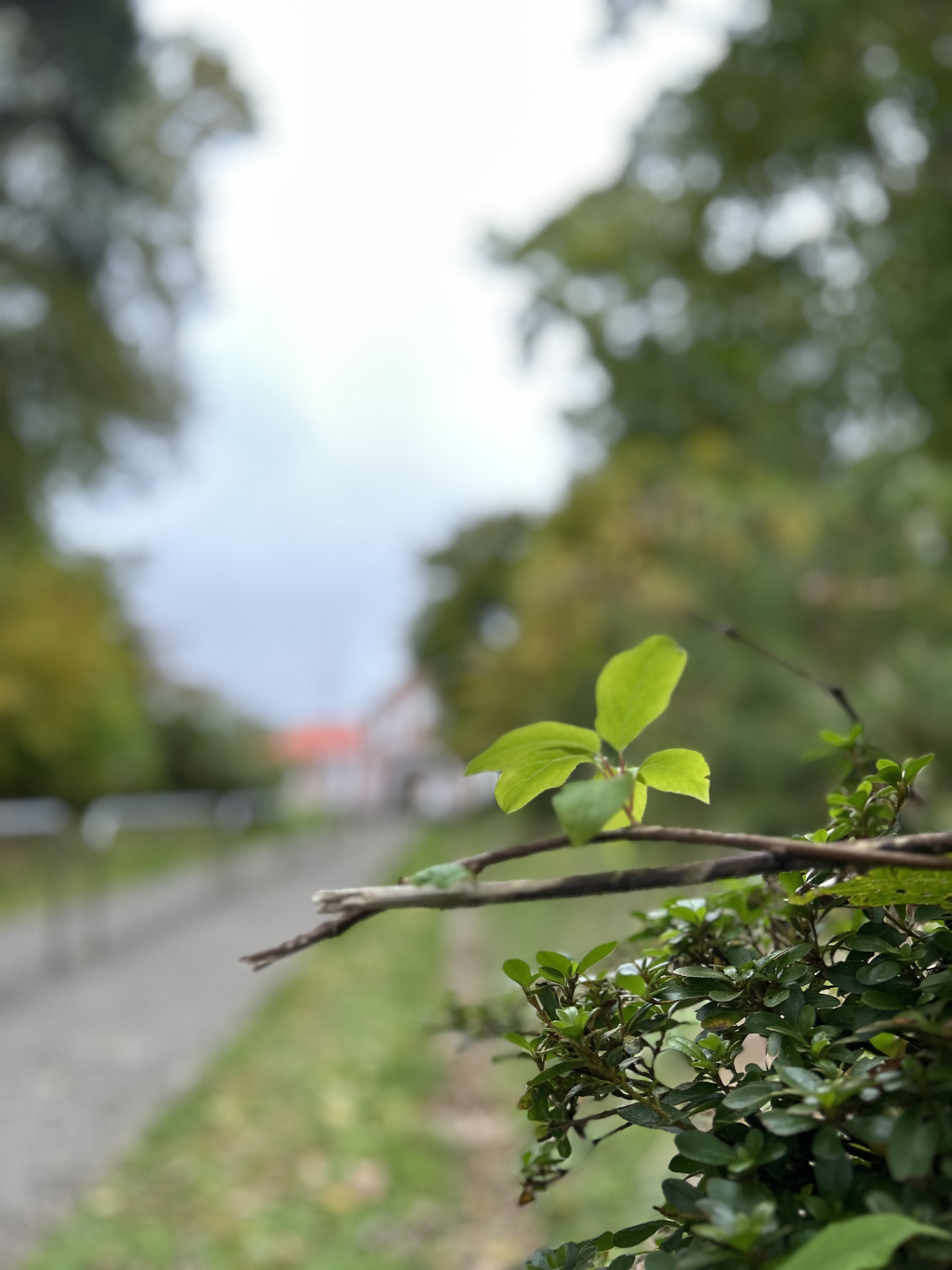 mentoring space concept